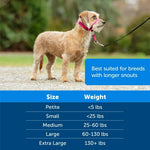 PETSAFE GENTLE LEADER HEADCOLLAR SMALL #066915
