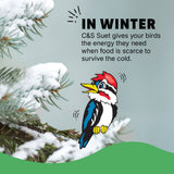 C&S Wild Bird Peanut Suet Treat #CS214308