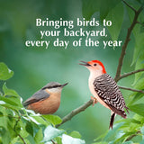 C&S Wild Bird Peanut Suet Treat #CS214308