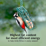 C&S Wild Bird Peanut Suet Treat #CS214308