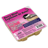 Heath Berry Blast Suet Treat #HHDD-15