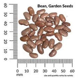 Cucumber, Tendergreen Organic Seeds, 1.2g #1515