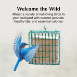 C&S Wild Bird Peanut Suet Treat #CS214308