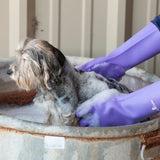 CLASSIC EQUINE WASH GLOVES PURPLE #WASHGLOVEPR