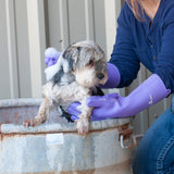 CLASSIC EQUINE WASH GLOVES PURPLE #WASHGLOVEPR