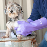 CLASSIC EQUINE WASH GLOVES PURPLE #WASHGLOVEPR