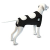 CALM PAWS CALMING RECOVERY VEST #01505