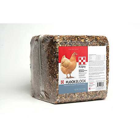 Purina Flock Block Poultry Supplement, 25 lbs., 3003351-603