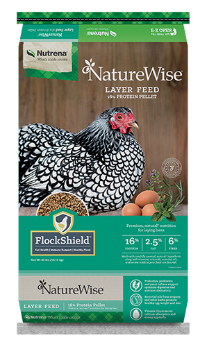 Nutrena NatureWise Feather Fixer Chicken Feed, 40 lb., #91591