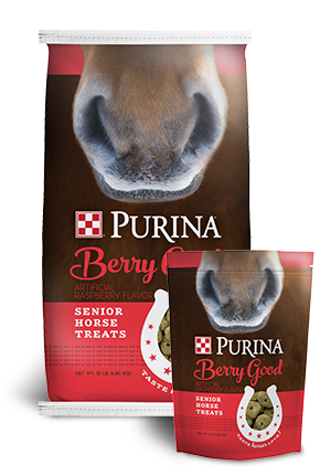 Purina Berry Good Treat 3.5lb Bag #3003257-746
