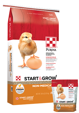 Purina Chick Starter Non-Medicated Crumbles 50lb. #3004800-306