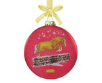 ORNAMENT BREYER 2021 GLASS Artist Signature #700825 Retired!