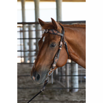 Circle Y VINTAGE SUNFLOWER BROWBAND HEADSTALL #X0210-1001