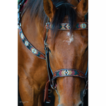 Circle Y SOUTHWESTERN BEADED BROWBAND HEADSTALL #X0216-T001