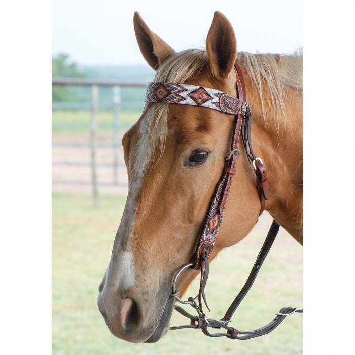 Circle Y FLAT INFINITY BEADED BROWBAND HEADSTALL #X0221-2004
